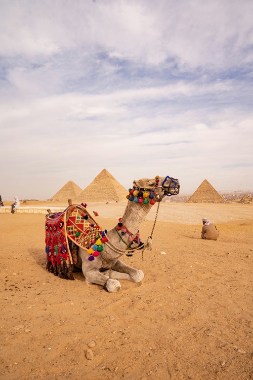 Egypt